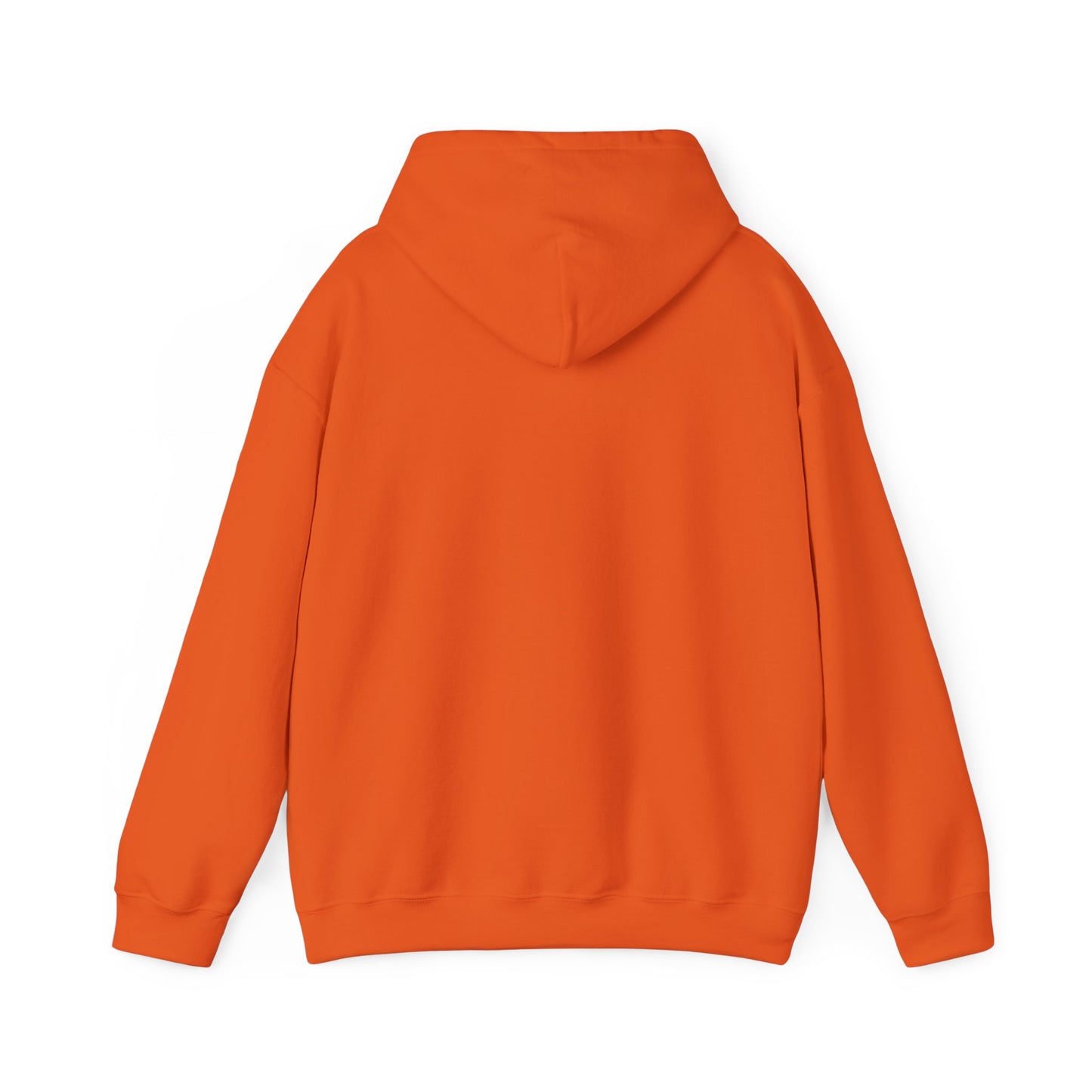 Dom Wavey Wasnt Sposed to Get Her Album Cover Hooded Sweatshirt