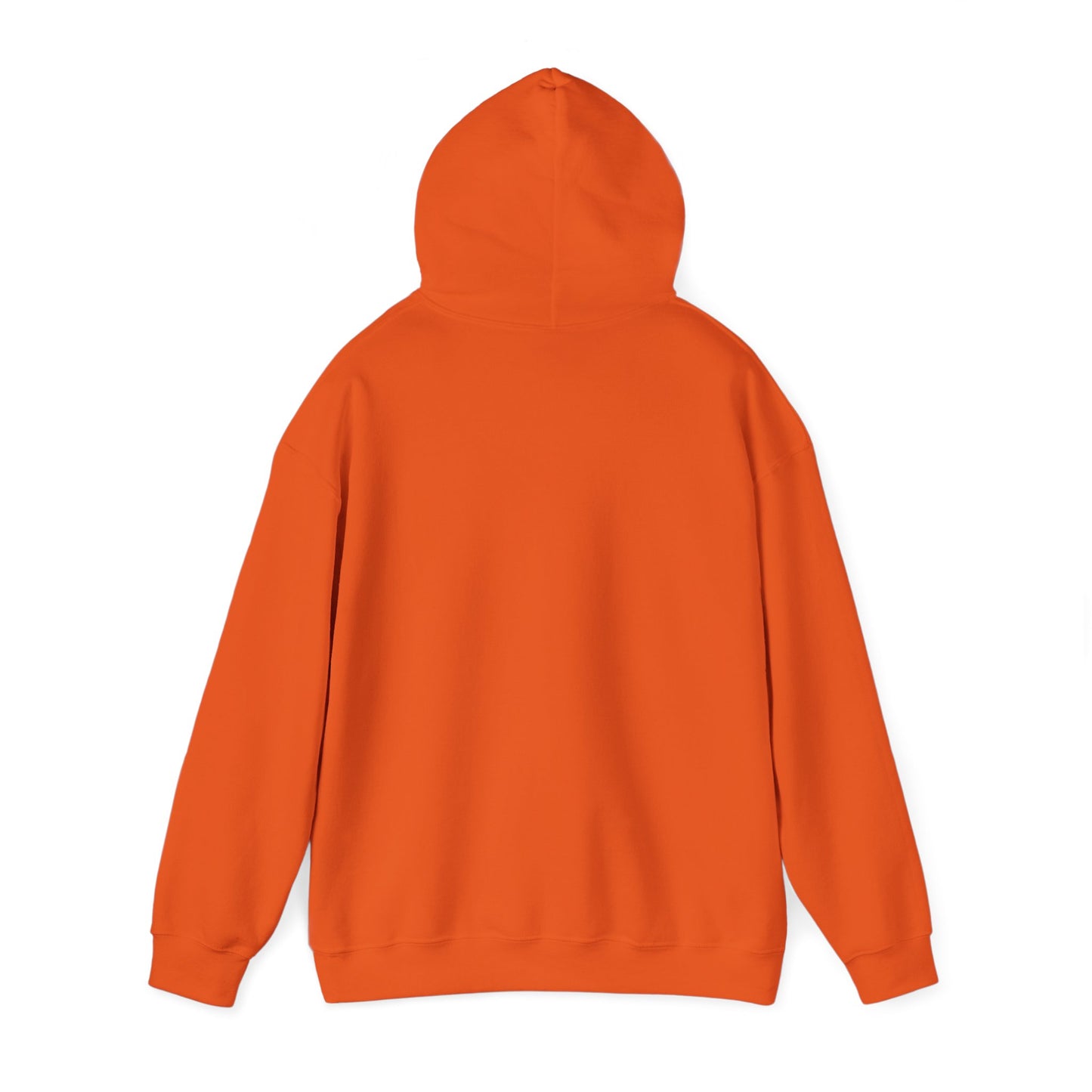 Dom Wavey Wasnt Sposed to Get Her Album Cover Hooded Sweatshirt