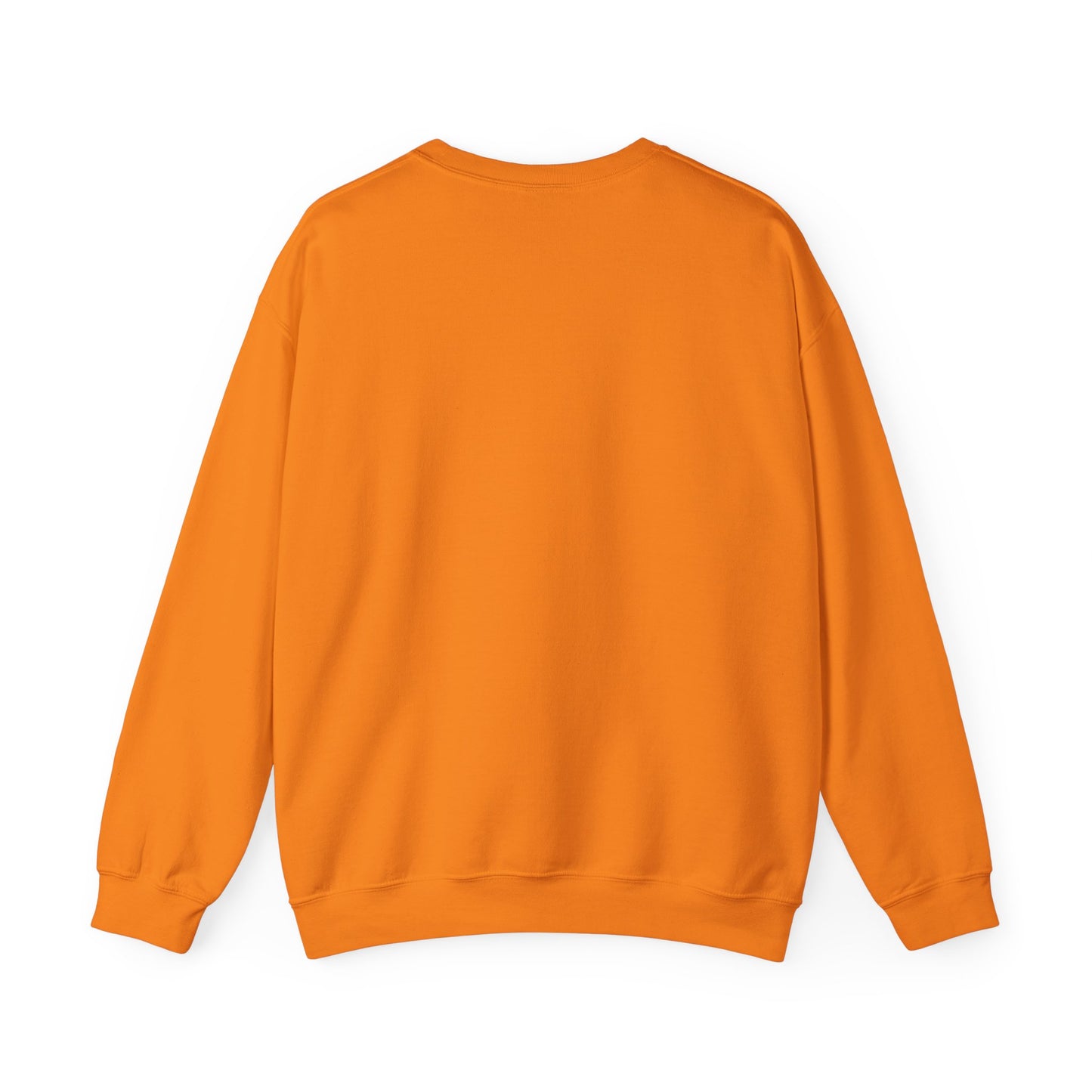 Dom Wavey Wasn't S'posed to Get Her Album Cover Sweatshirt