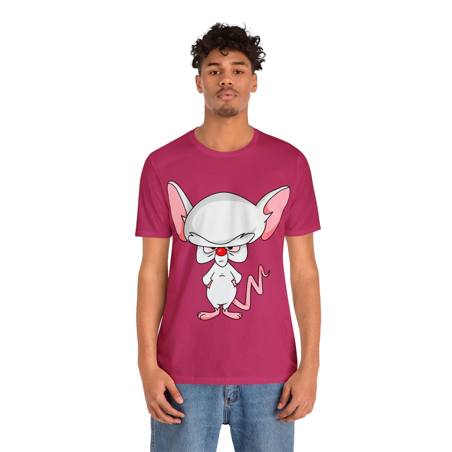 Pinky & The Brain Graphic Tee - Classic Nostalgic Vintage Cartoon Graphic Tshirt - Valentines Day Animated Series Companion Shirt