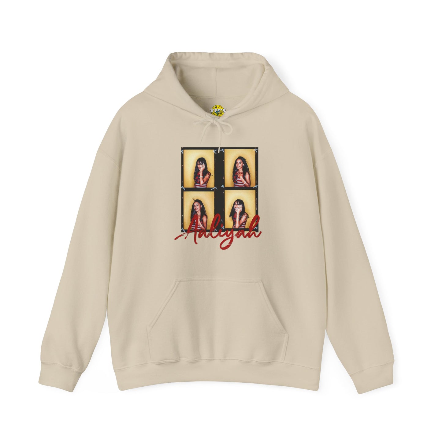 Aaliyah Proofs Hoodie, 90s Style Iconic Classic R&B Sweatshirt, Women in Music Vintage Legends Shirt, Singer Tribute Hooded Sweatshirt