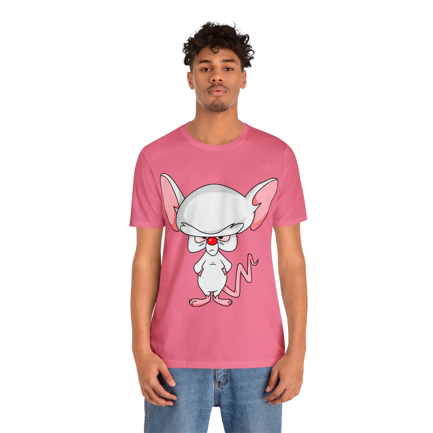 Pinky & The Brain Graphic Tee - Classic Nostalgic Vintage Cartoon Graphic Tshirt - Valentines Day Animated Series Companion Shirt