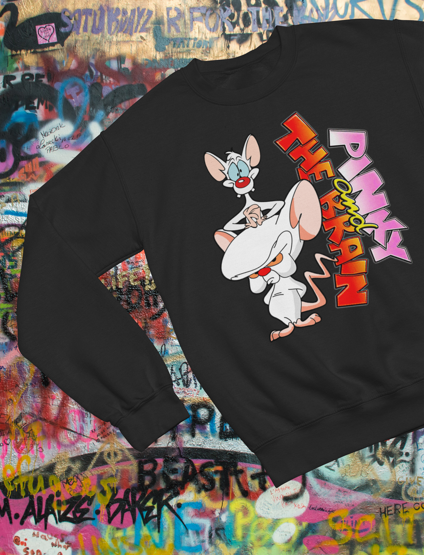 90s Nostalgia Retro Cartoon Sweatshirt, 90s Animation Cartoon Lover Shirt, Pinky and the Brain Sweatshirt, Classic 90s Animation